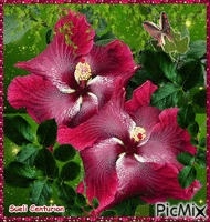 Flores Vermelhas animovaný GIF