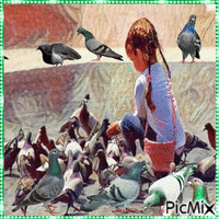 Little girl with pigeons