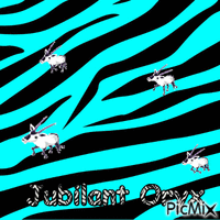 animal prints - Bezmaksas animēts GIF