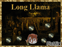 Long Llama - GIF animé gratuit