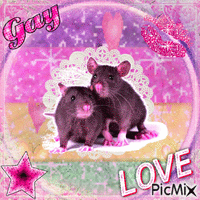 sapphic rat love geanimeerde GIF