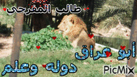 باغيالل - Darmowy animowany GIF