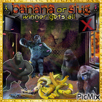 banana gameshow