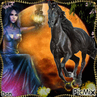 the lady and the black horse - Free animated GIF