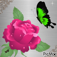 butterfly & Flowers - GIF animado gratis