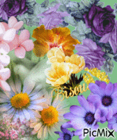 Cache-Cache dans les Fleurs 3/4 - Darmowy animowany GIF