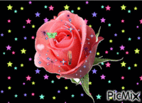 rosa animasyonlu GIF