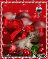 Cat among hearts. animuotas GIF
