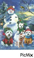 snowman christmas puppies - Free animated GIF