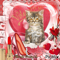 Valentin petit  chat