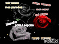 Mes roses... - 免费动画 GIF