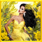 femme, mimosa dans le cadre jaune 🌹🌼
