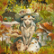 Little Miss Mushroom - 無料のアニメーション GIF