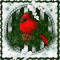 Christmas Cardinal-RM-12-19-22 - GIF animé gratuit
