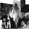 Le noir et le blanc - Ilmainen animoitu GIF
