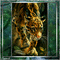 Felino da Amazônia - Gratis geanimeerde GIF