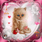 Chat Cupidon - GIF animado gratis