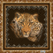 Leopard - Ücretsiz animasyonlu GIF