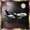 l'avion - Darmowy animowany GIF