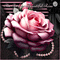 The Forever Beautiful Rose-RM-03-25-24 - Free animated GIF