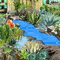 Succulent garden - 免费动画 GIF