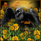 The Crow-RM-10-19-23 - Free animated GIF