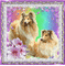 2 dogs - Бесплатный анимированный гифка