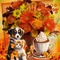 Concours / bouquet d'automne, café et deux animaux - kostenlos png