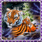 Tigers and winter - Nemokamas animacinis gif