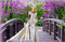 une femme sur un pont - 免费动画 GIF