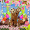 Easter Chocolate - GIF animé gratuit