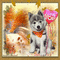Concours à venir : Portrait d'un chien qui a un message - Безплатен анимиран GIF