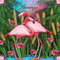 Flamingo-05-18-23 - GIF animé gratuit