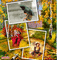 automne photos - 免费动画 GIF