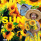 tournesol sunflower - GIF animé gratuit