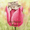 Concours : Un chaton sur une fleur - GIF animé gratuit