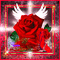 Rose Rouge - GIF animado grátis
