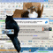 Cats in Internet Explorer - Free animated GIF