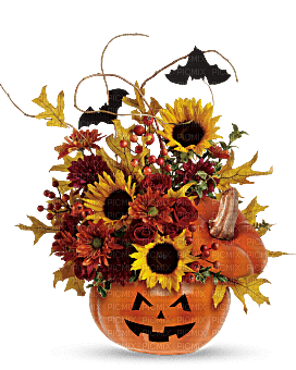 Kaz_Creations  Flowers Vase Plant Halloween Deco - Free PNG