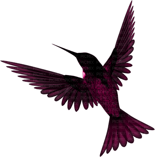 minou-purple - PNG gratuit