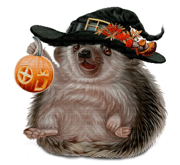 halloween hedgehog by nataliplus - PNG gratuit
