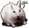 bunny - Nemokamas animacinis gif