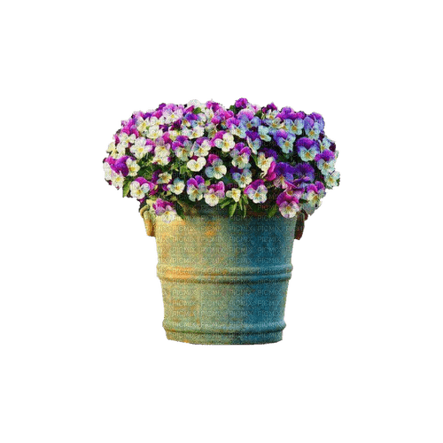 kikkapink deco scrap bucket flowers - Free PNG