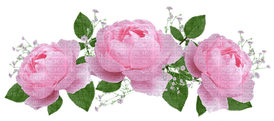 roses - безплатен png