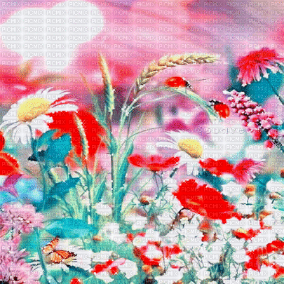 soave background animated  flowers field - Besplatni animirani GIF