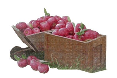 grapes bp - zdarma png