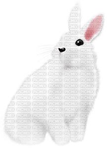 soave easter deco animals bunny spring  white pink - PNG gratuit
