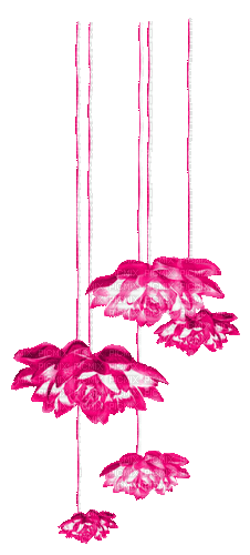 Flowers.Pink - By KittyKatLuv65 - GIF animé gratuit