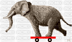 éléphant skate boart - Animovaný GIF zadarmo