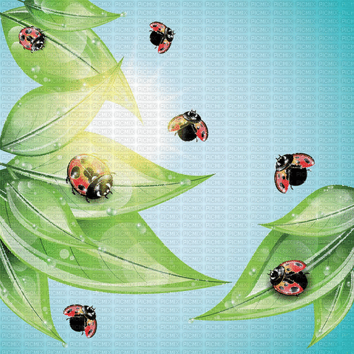 Background. Summer. Ladybugs. Gif.Leila - GIF animé gratuit